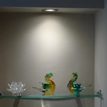 Aerial Nest * Tesalónica